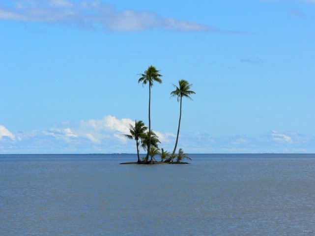 44- Un ilot au milieu du lagon de Raiatea 
